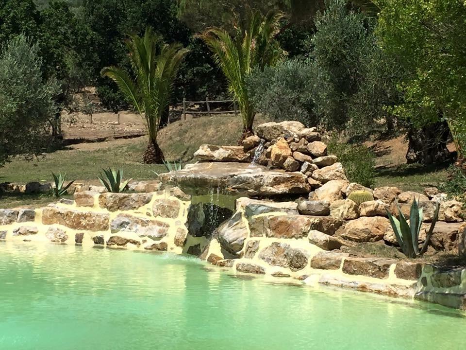 Agriturismo La Fontanella & Glamping Suvereto Extérieur photo