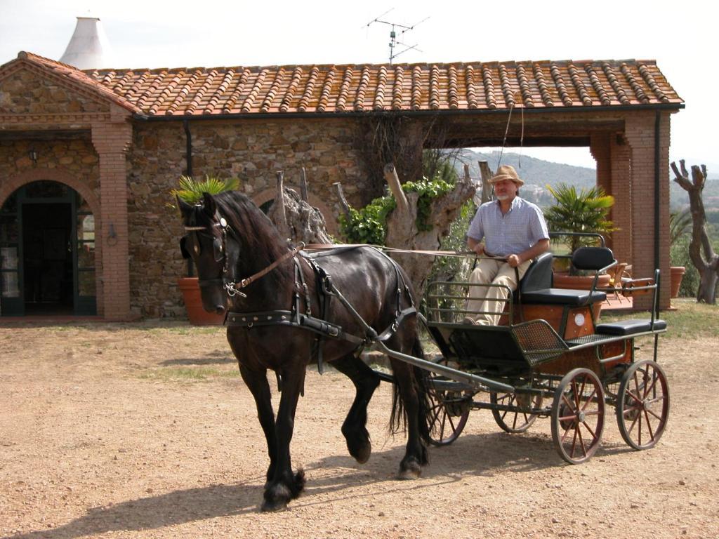 Agriturismo La Fontanella & Glamping Suvereto Extérieur photo