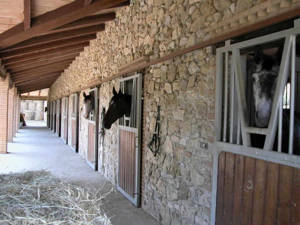 Agriturismo La Fontanella & Glamping Suvereto Extérieur photo